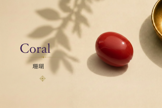 珊瑚/Coral